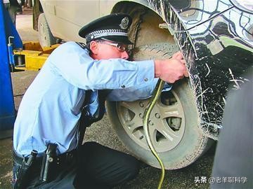 男子夜钓打5条蛇,男子半夜开车蛇在车窗