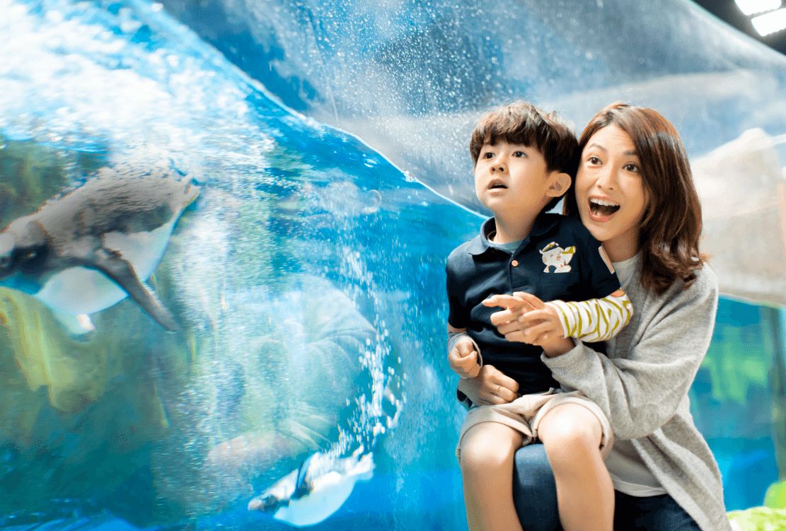 香港西贡有什么旅游景点,香港太平山顶一日游景点攻略