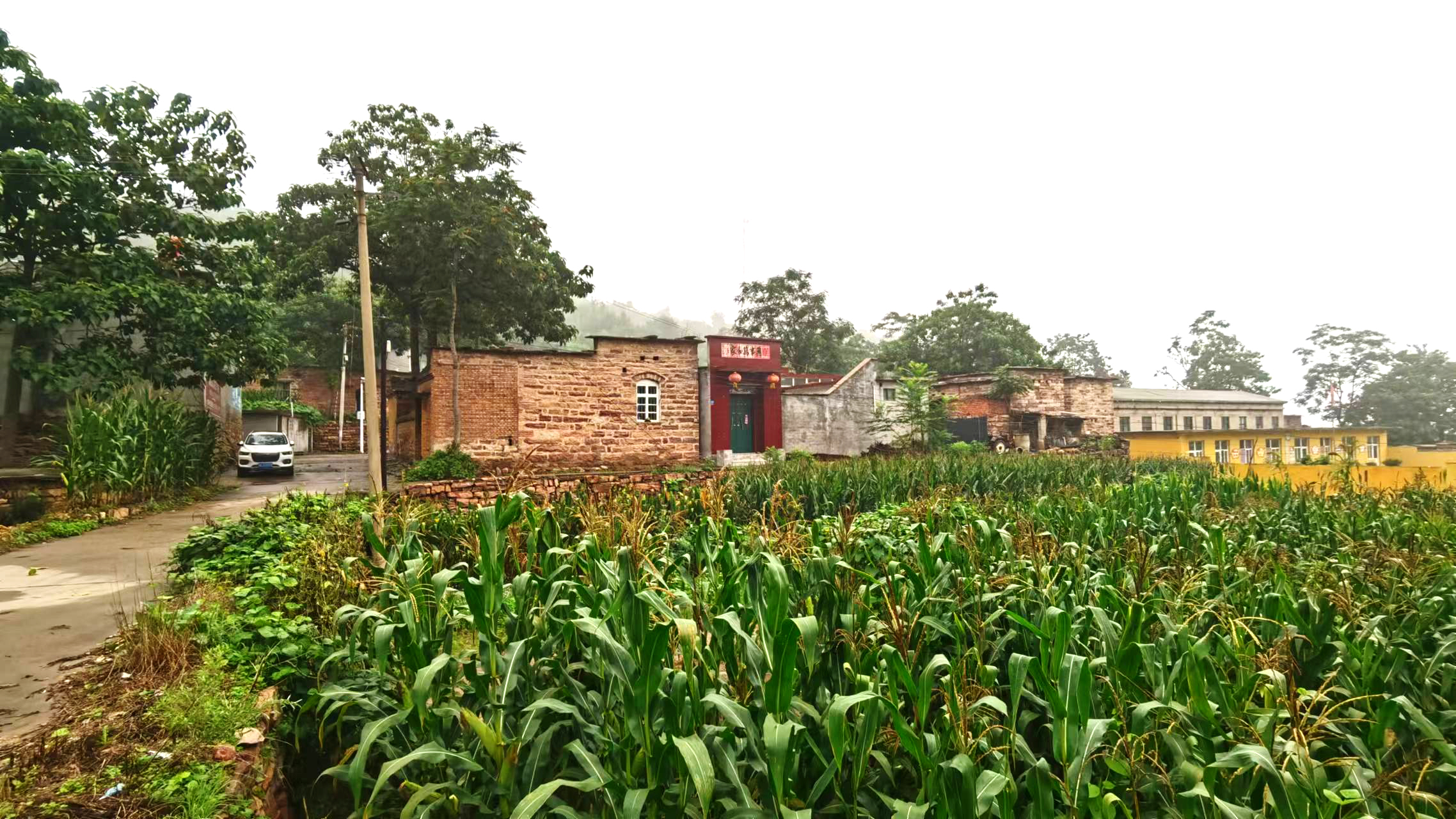 坨坨村纪事《一张借粮条的故事》（小说）