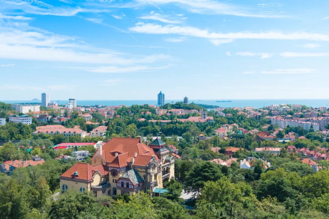 青岛绝美的一条路,青岛都是树的风景路