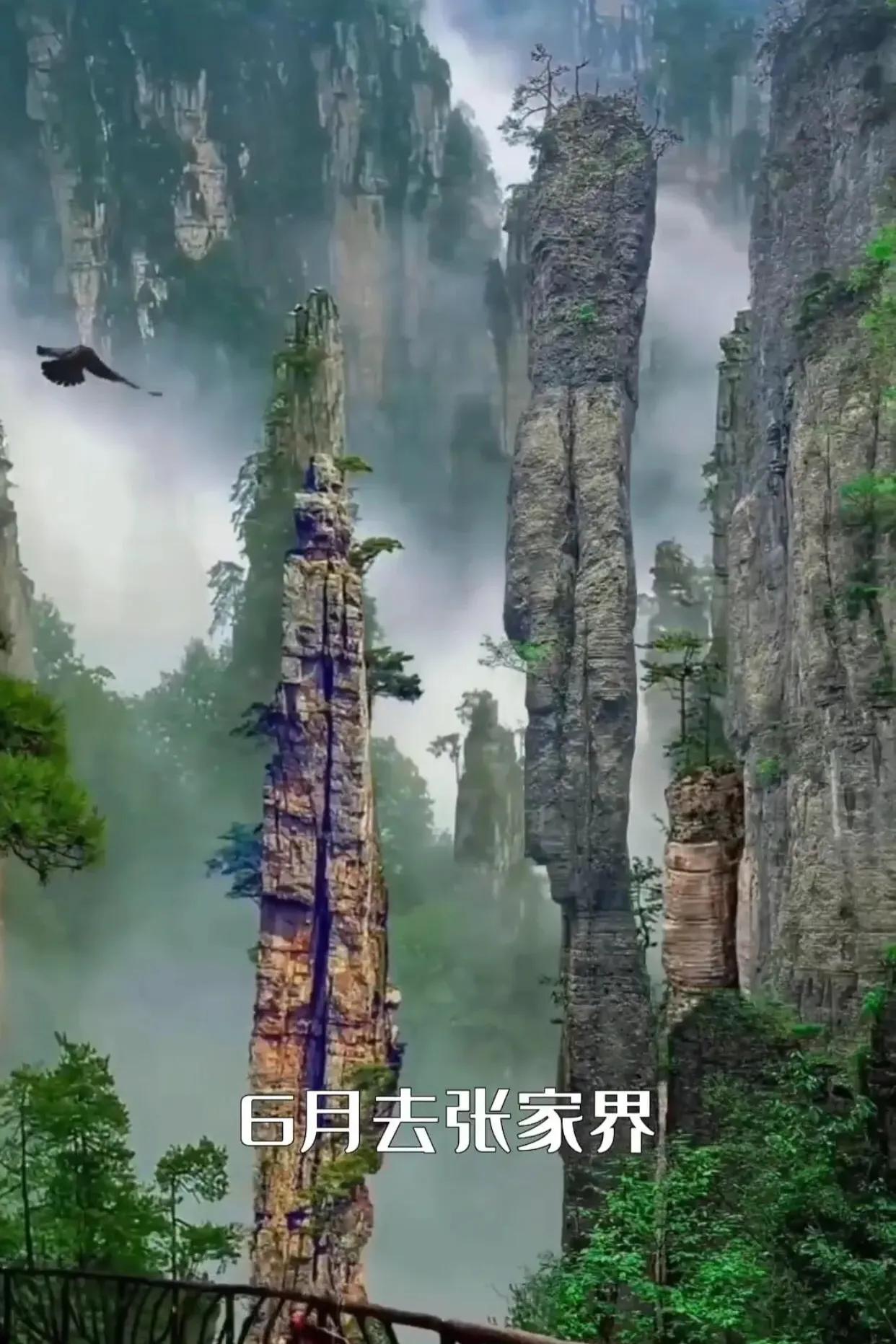 每个月适合去哪里旅游你知道吗,你知道每个月去哪里旅游吗