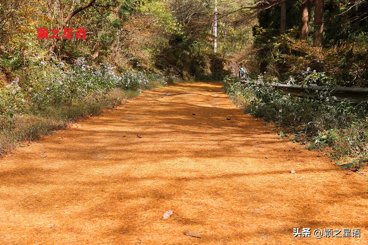 宁波黄金谷景区,宁波黄金谷