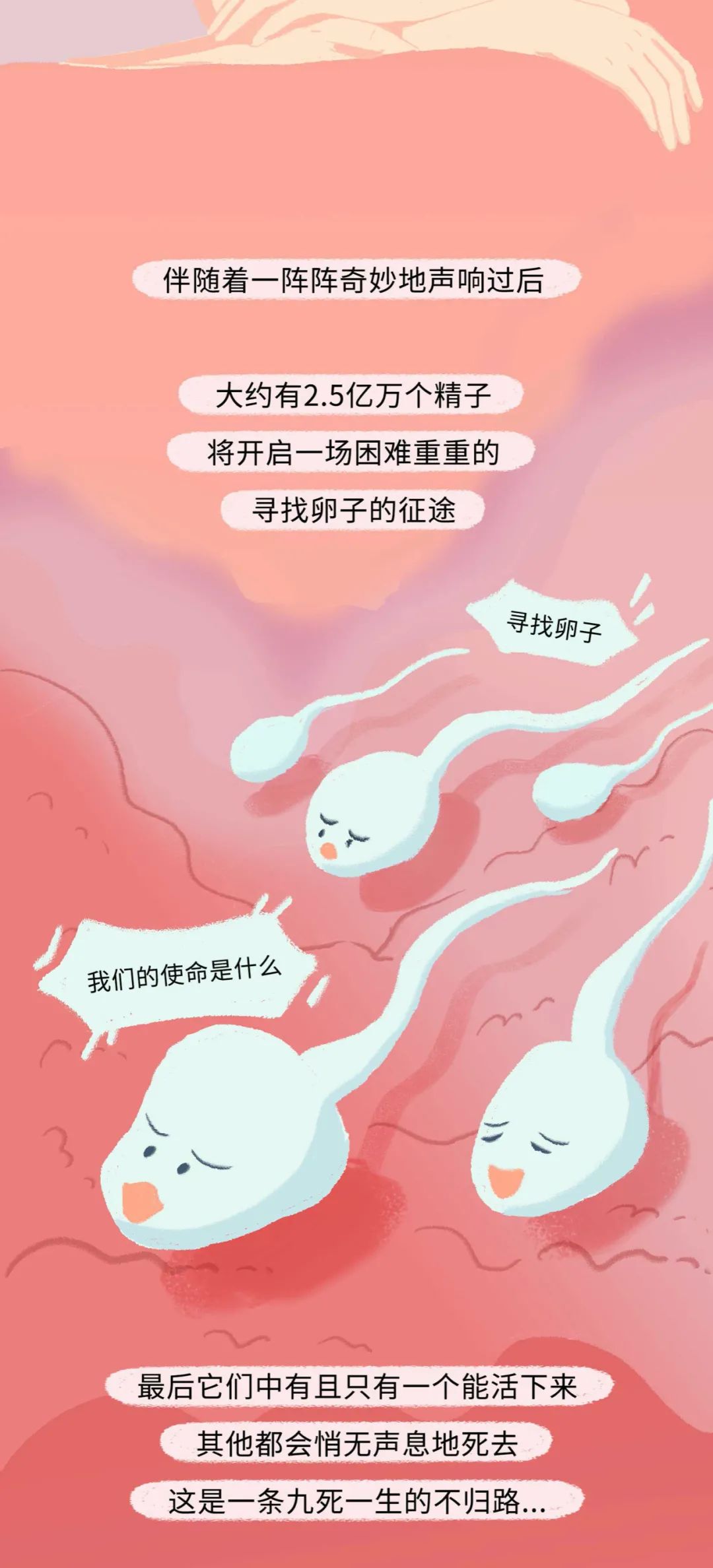女人是如何怀孕的呢,女性怀孕的全部过程