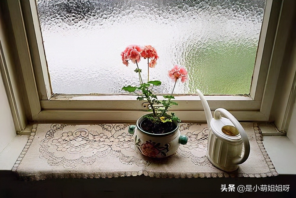 低门槛的互联网创业可以做吗,互联网创业才是现在最轻松的行业