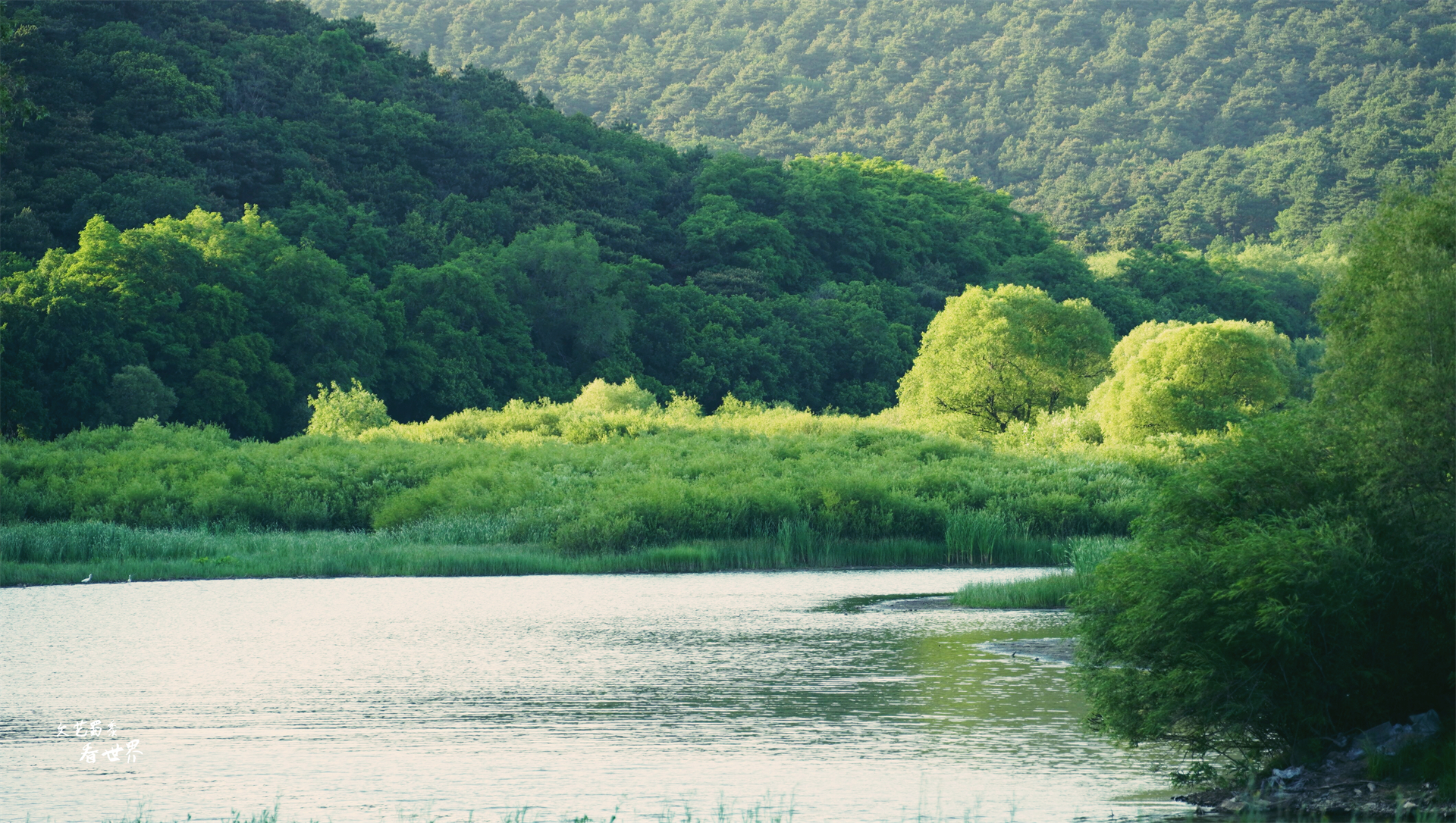 棋盘山是沈阳人民的后花园,春夏秋冬都招人爱,可以爬山环湖滑雪