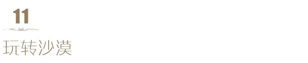 V世界｜夏天，在阿布扎比的11个“极致”体验