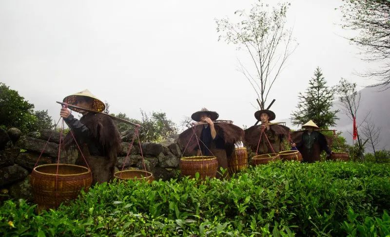 万里茶道第一镇铅山休闲一日游,铅山县万里茶道世界遗产