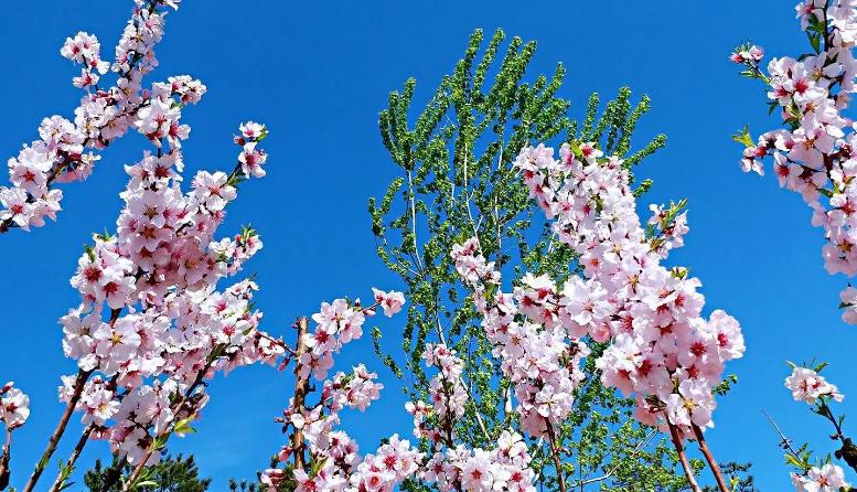 远大抱负且霸气的古诗原创,吟诗作对的经典诗句