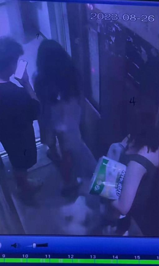 闹大了！电梯内狗尾巴扫腿，23岁女子在打斗中被扯下衣服！真惨烈