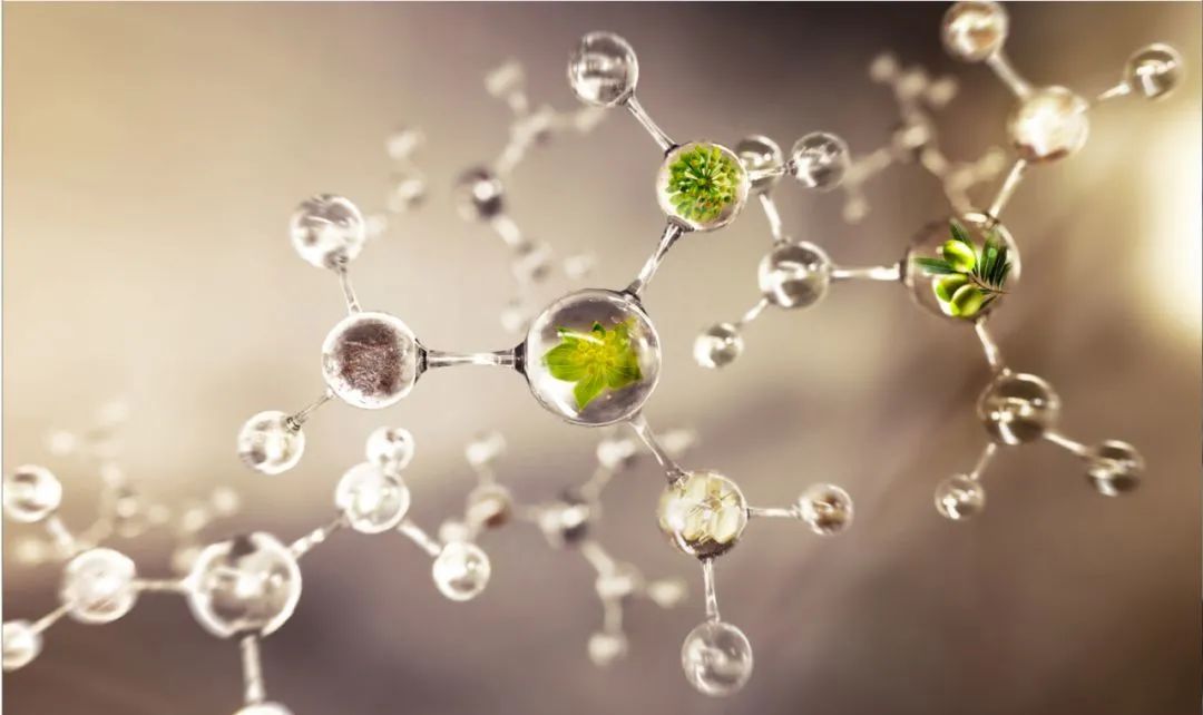 正品新款资生堂悦薇水乳中样套盒,资生堂悦薇水乳2020年双十一