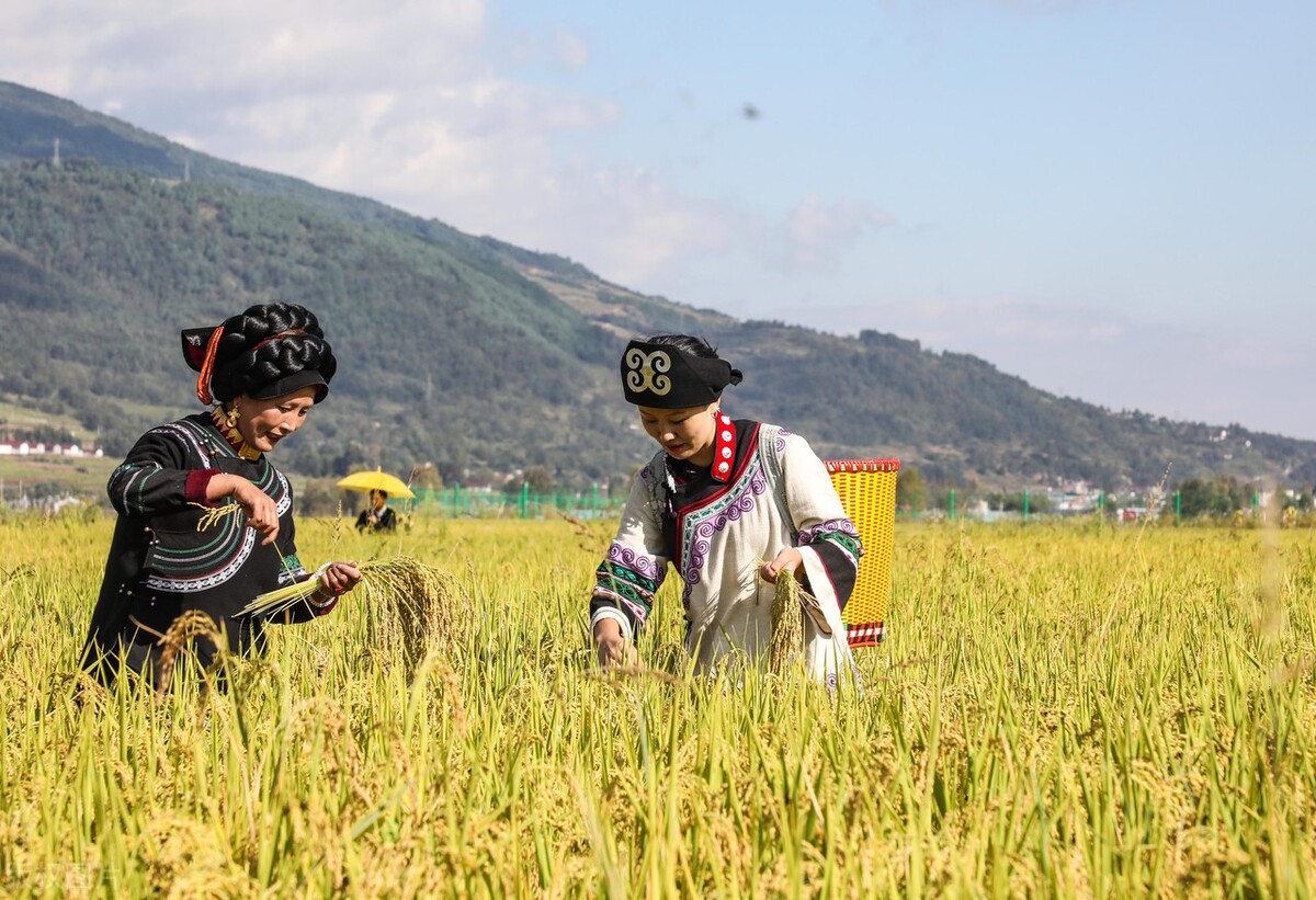 困惑？Itsaboutyoustealingmywind中的stealing是什么成分？