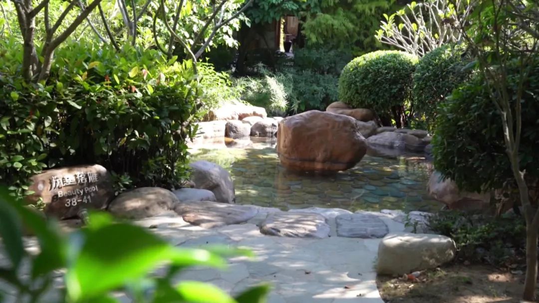 福建长泰：福之旅·主播带你游——绿色生态享福之旅