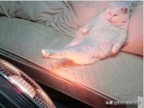 小时候过冬必备的取暖神器,简单又好用的取暖神器