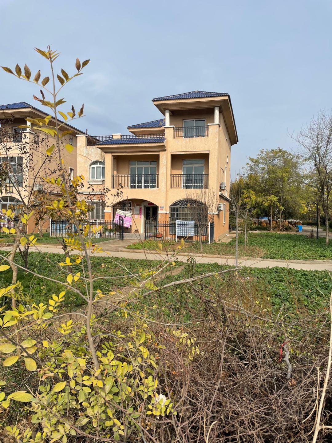 董董骑行山东,懂懂骑山东