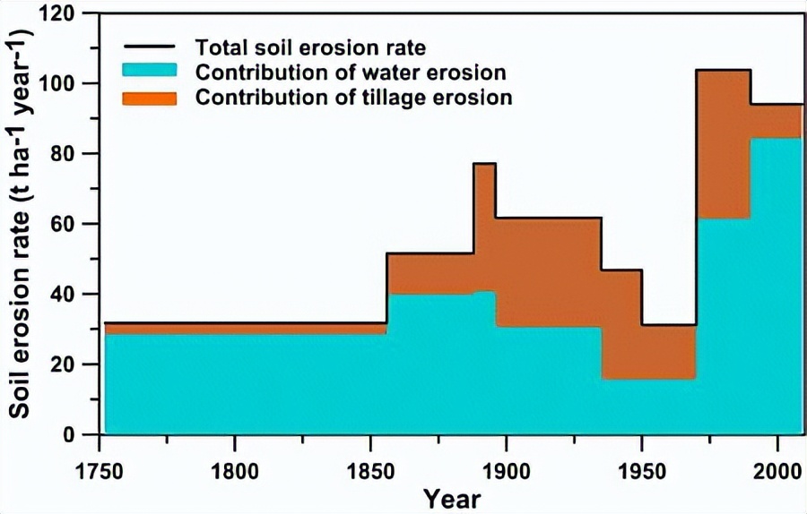 西班牙产出优质的橄榄的地理条件,橄榄种植历史