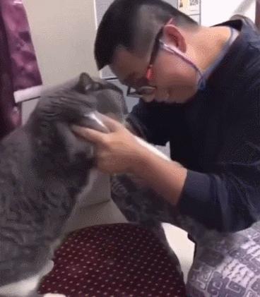 我家猫尿进了洗衣篓里，我爸为了包庇猫说，是他尿的···