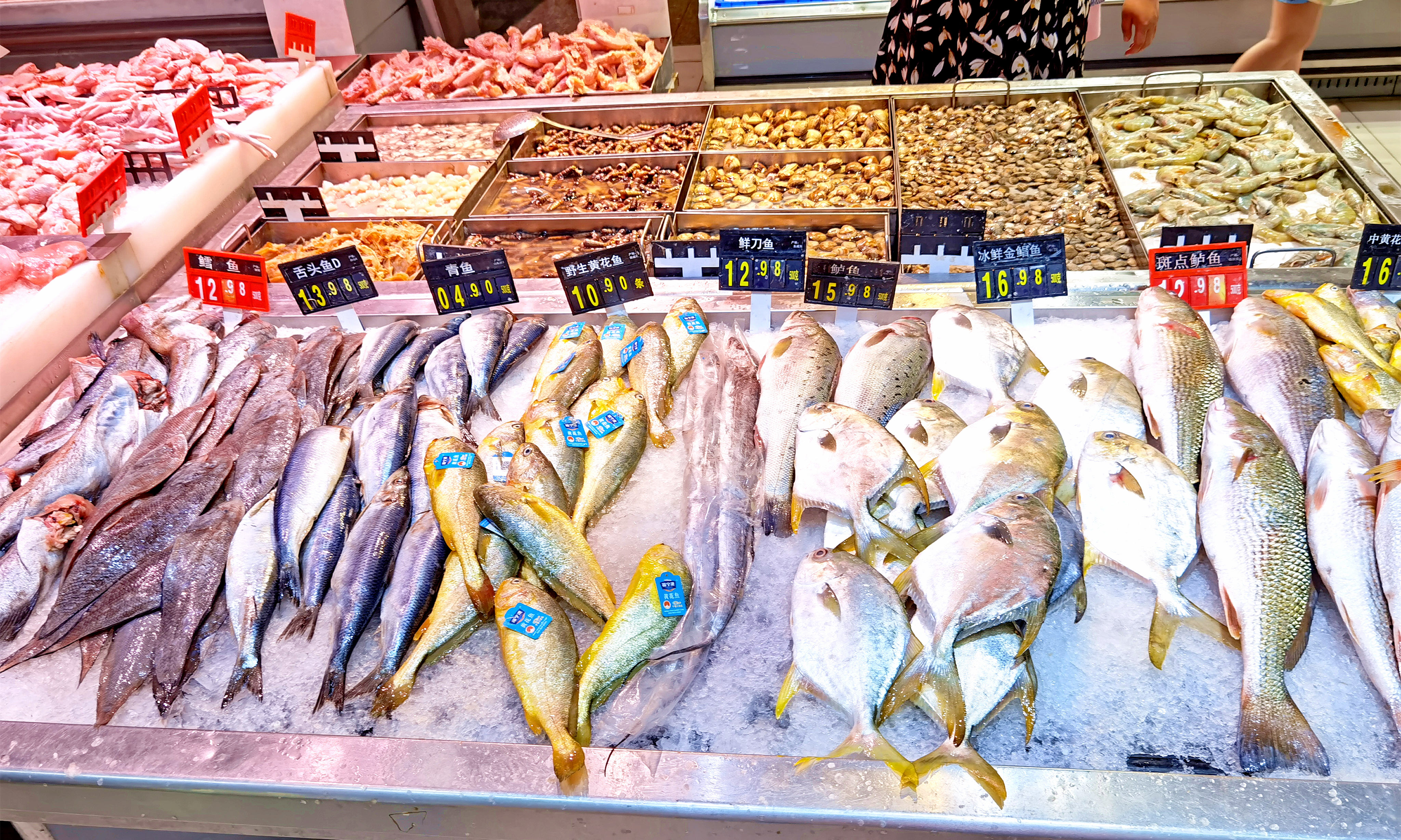 看到这五种鱼千万别买,这3种鱼最好别买