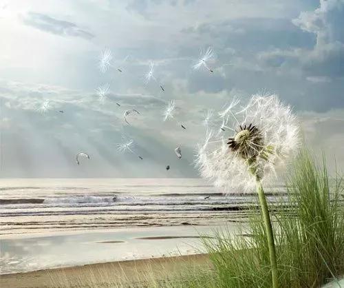 太励志男生从中专成功考入清华,太励志了成功靠自己