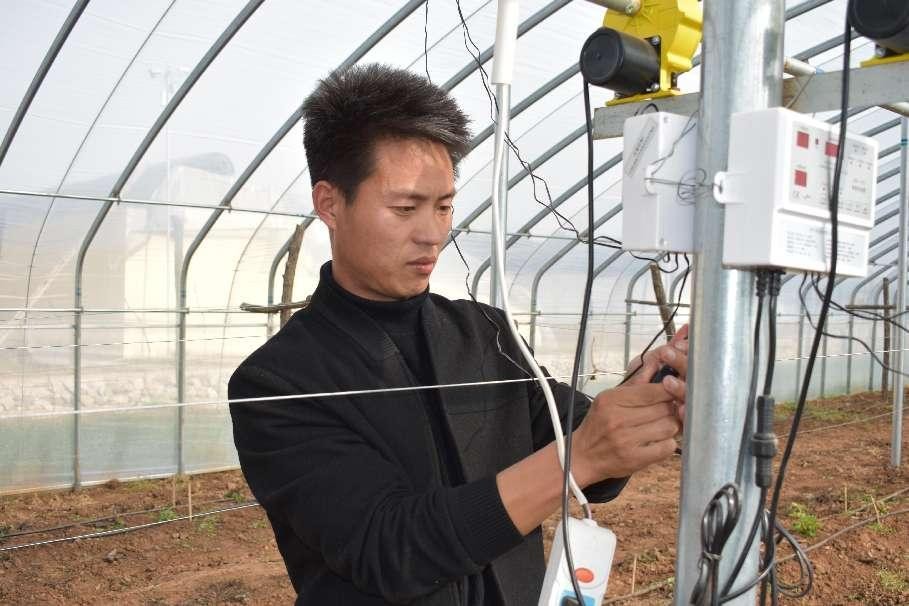 [蒙阴四雁]--鸿雁创业小葡萄串起乡村振兴大梦想