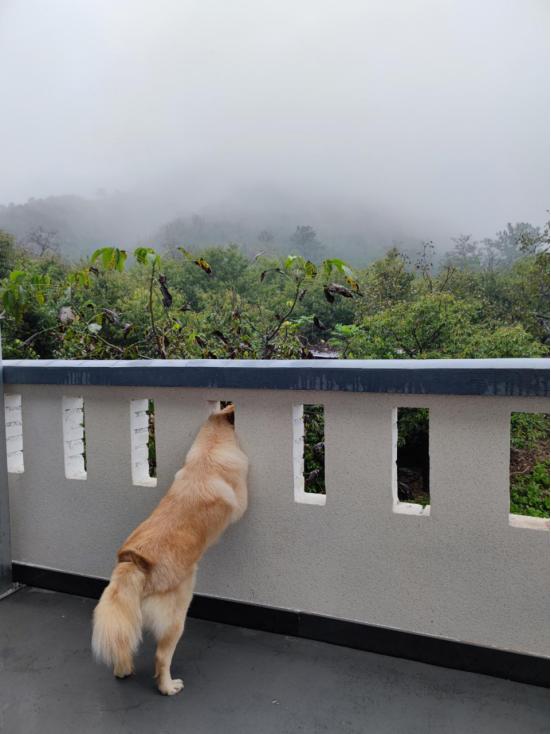 北京怀柔观山居民宿,北京山自闲观山居民宿