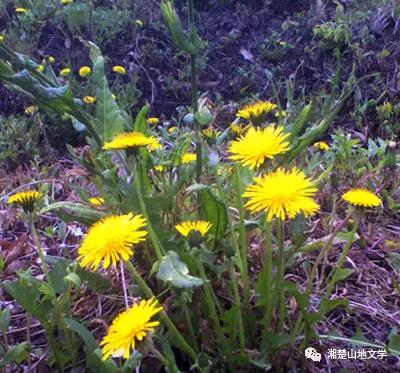 母亲是文盲沟通很困难,妈妈是文盲想认字