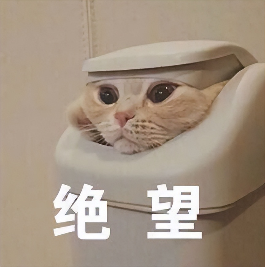 微信零钱提现风控异常怎么解决,微信零钱提现风控异常怎么办