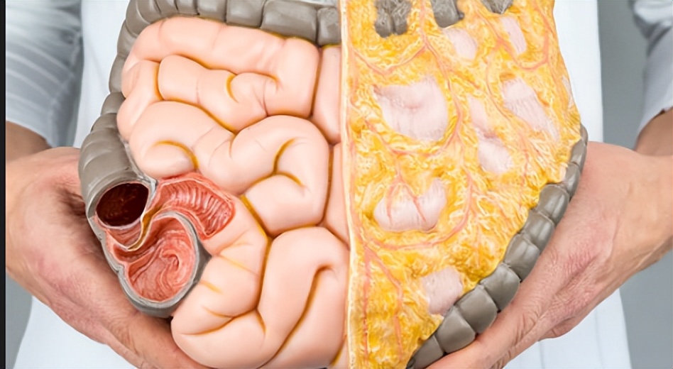 腰腹部肥胖怎么减最快,腰腹部两侧赘肉如何快速消除