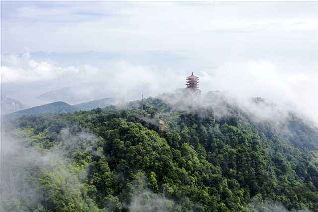 李一道长水中憋气视频,李一道长事件
