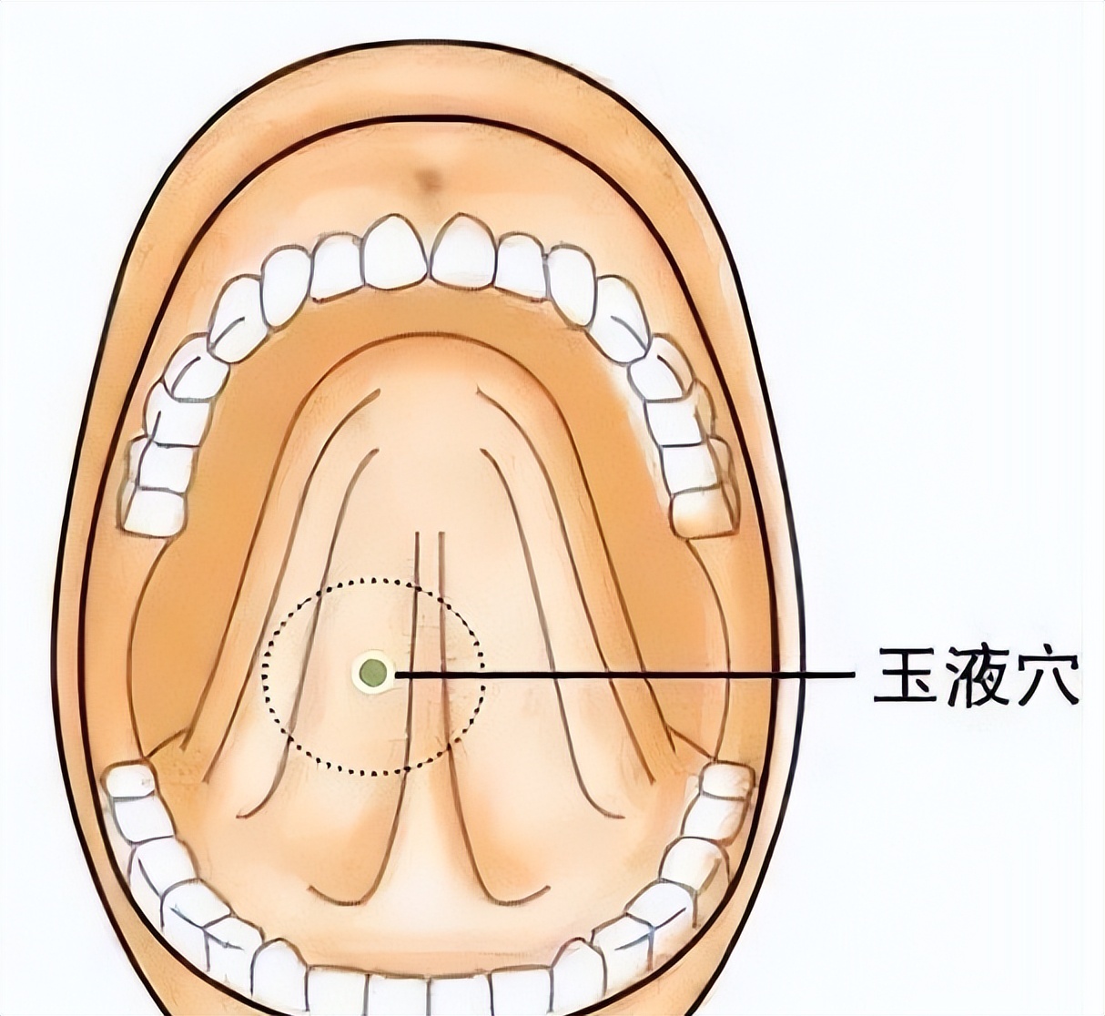 增强体质免疫力最好的方法,小孩增强体质的方法