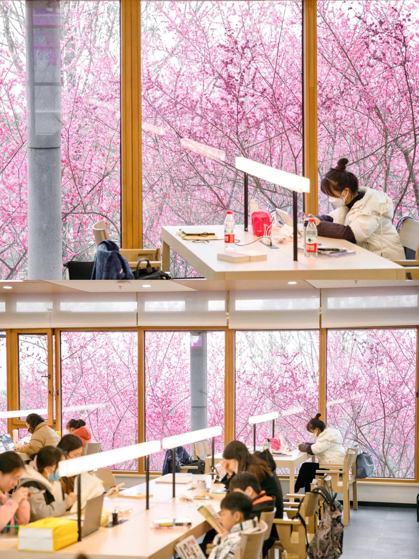 重庆最美鸿恩寺,重庆江北区图书馆鸿恩寺分馆