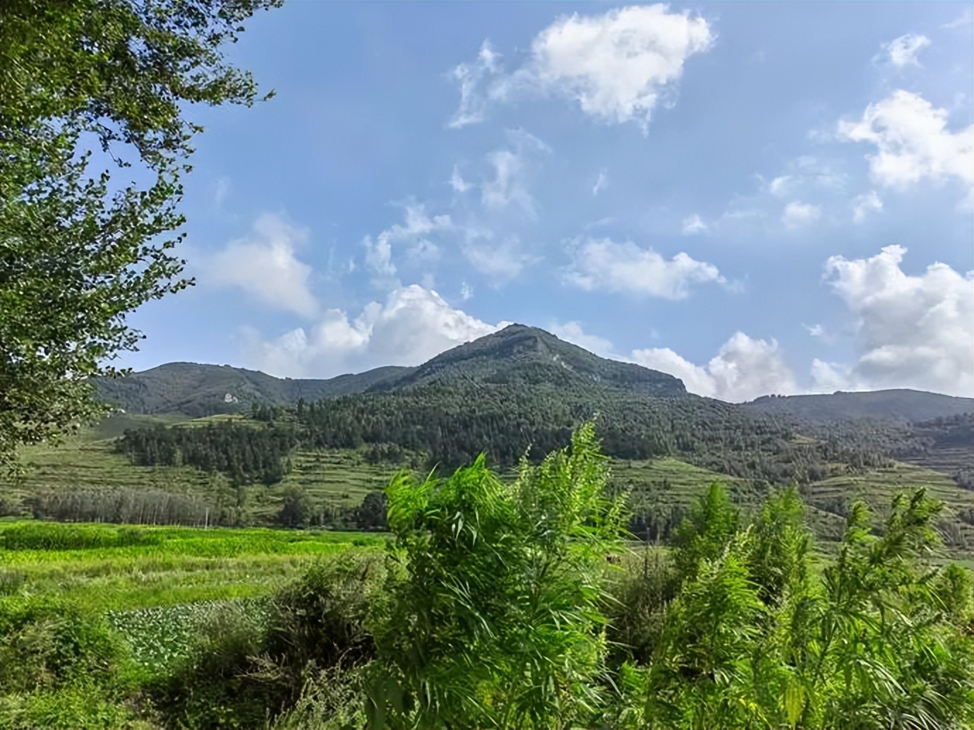 灏忓ぉ灞遍夯鐢板箔鏅尯浜戞捣,楹荤敯宀皬澶╁北璺ソ璧颁箞