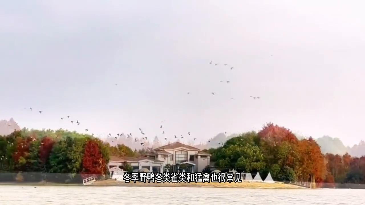 上海深度旅游攻略图,冬季上海旅游路线