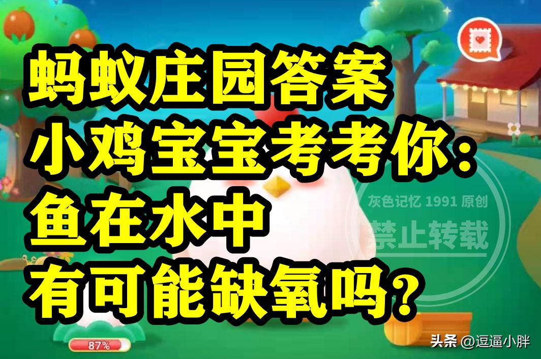 蚂蚁庄园小鸡宝宝答案,蚂蚁庄园答案小鸡宝宝考考你