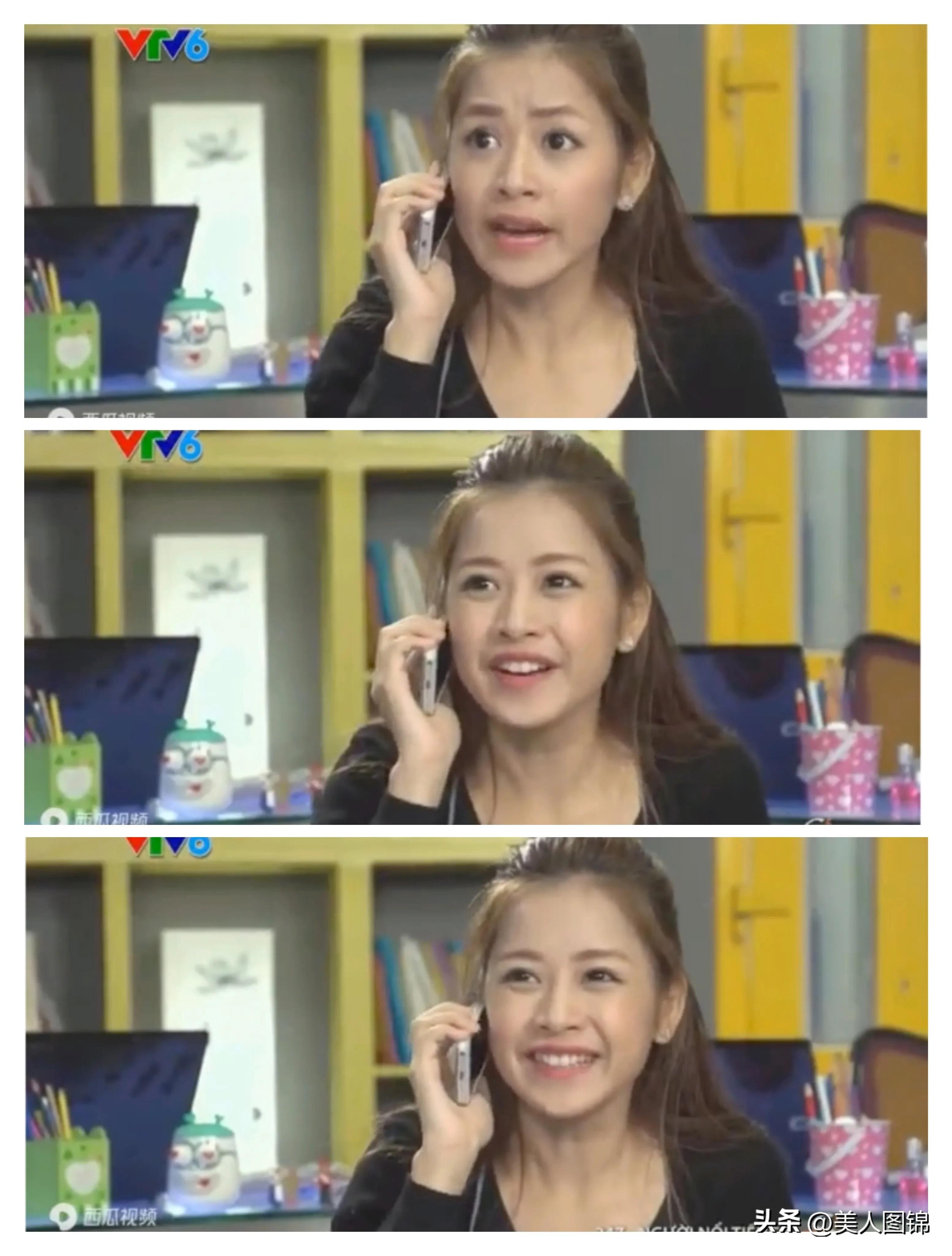 越南芝芙,芝芙越南