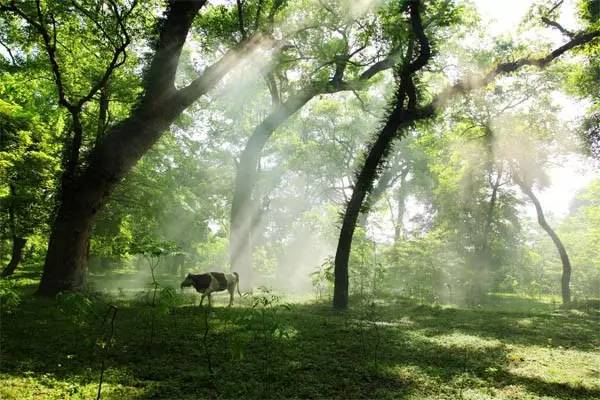 江西5月份冷门旅游,江西十大冷门景点人少景美好玩