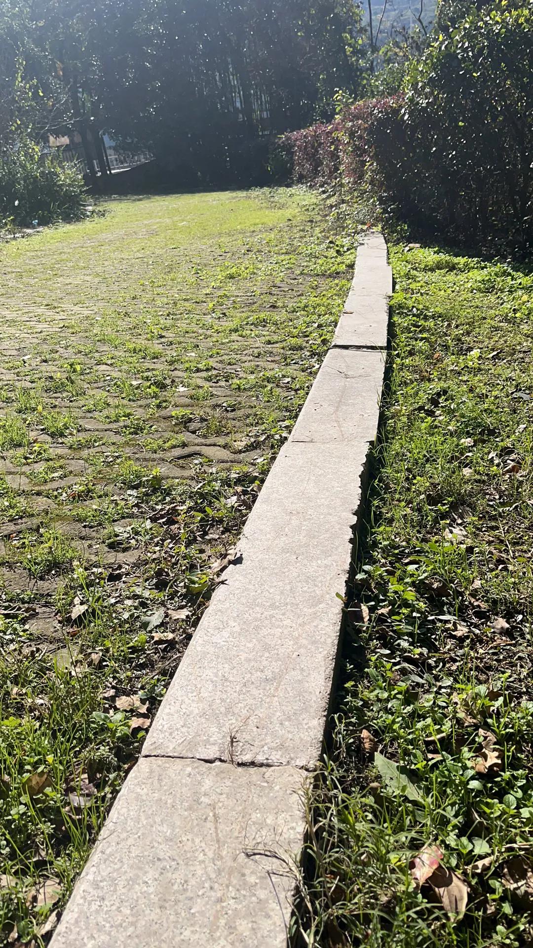 春运那些事,春运火车票有多难买