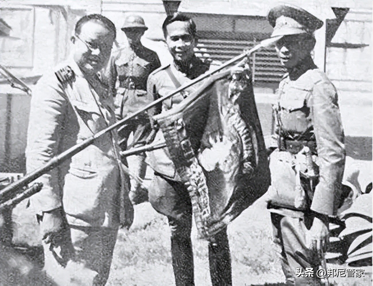 大选开启泰国政局走向何方,泰国大选现在谁是第1名