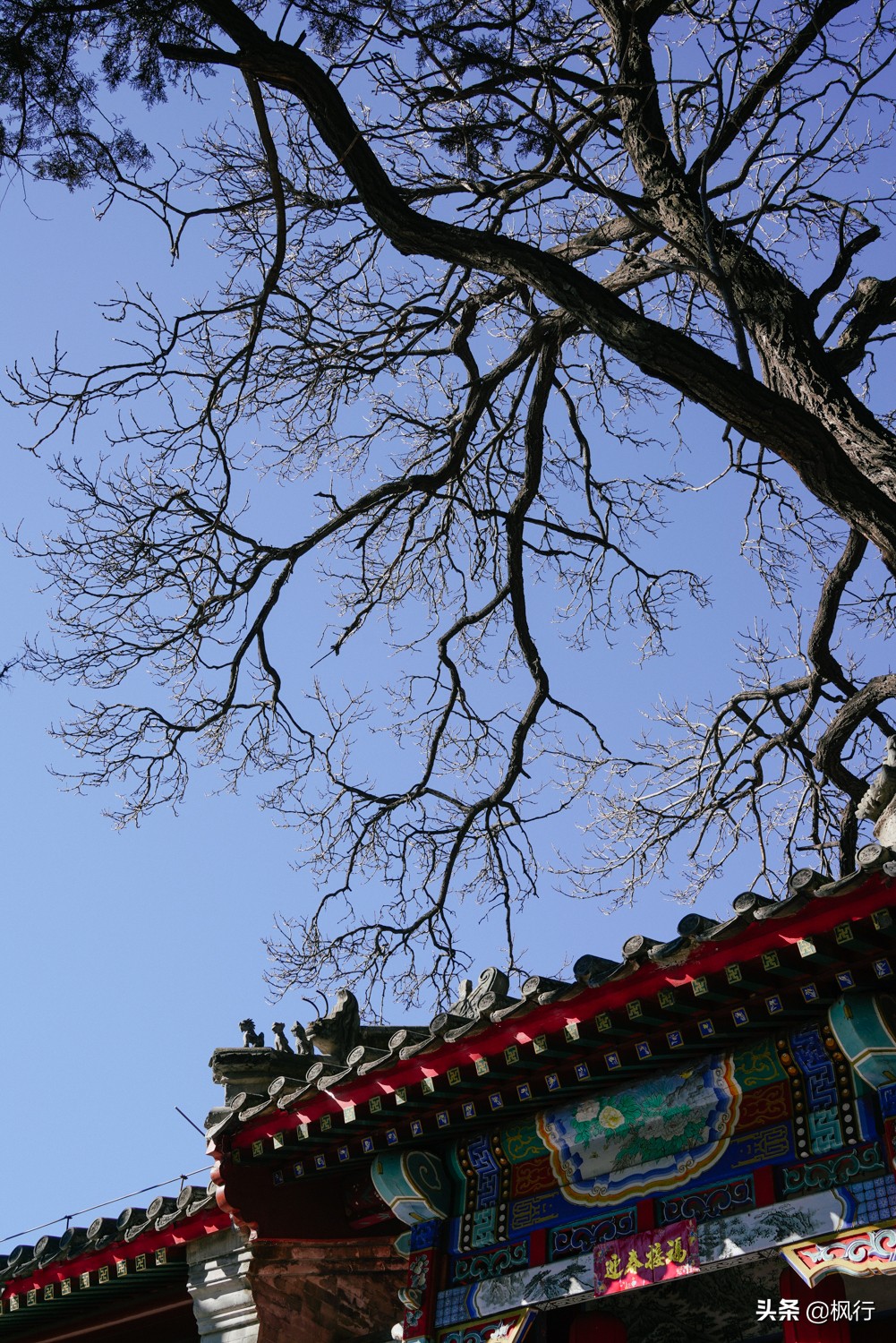 西山可以爬山的地方,夏季爬山推荐地方