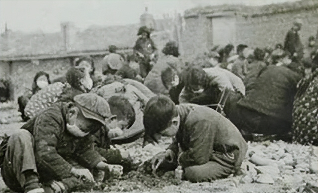 灭鼠大王邱满囤为什么不交秘方,灭鼠大王邱满囤5位专家