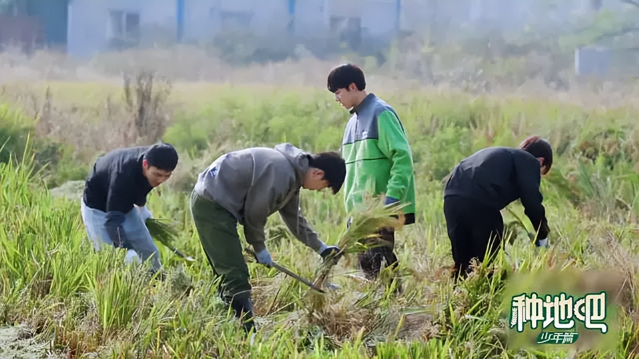 《种地吧》让人相信，综艺也可以“心诚则灵”
