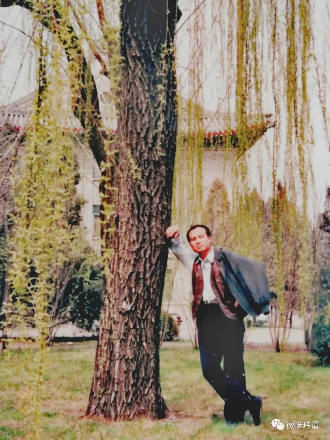 中南海印象原创：贺玮