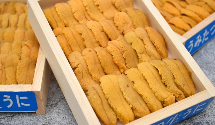 人均2000的日料自助,人均2000元日料店