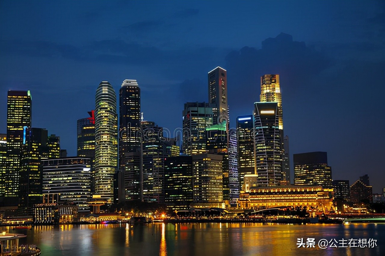 新加坡7个冷知识英文,世界上养猫最多的国家