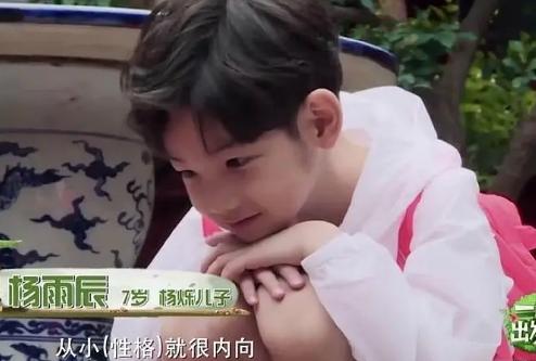 杨烁王黎雯同框,王黎雯和杨烁最新视频