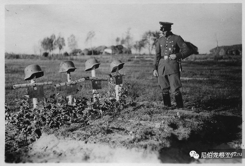 好收吾骨瘴江边全诗,好收吾骨瘴江边翻译