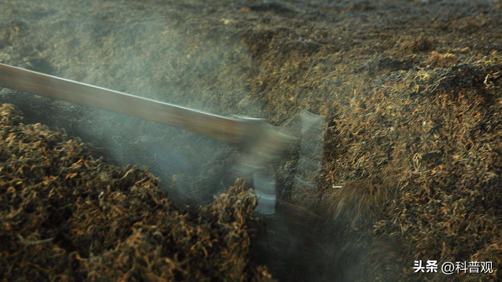 1克熟茶,十五年普洱熟茶还能喝吗