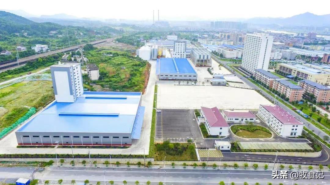 鸡猪齐飞！“中国鲜禽第一股”完成生猪全产业链布局