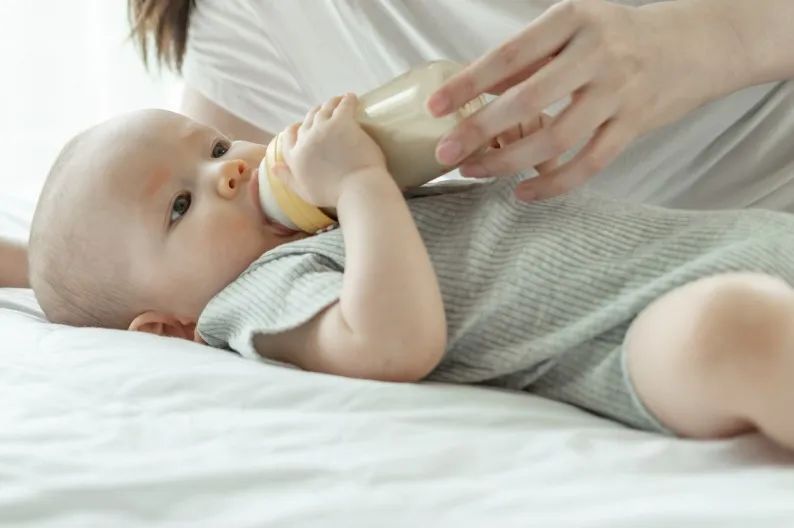 雅培哪一款奶粉出问题了,雅培哪几种奶粉出问题了