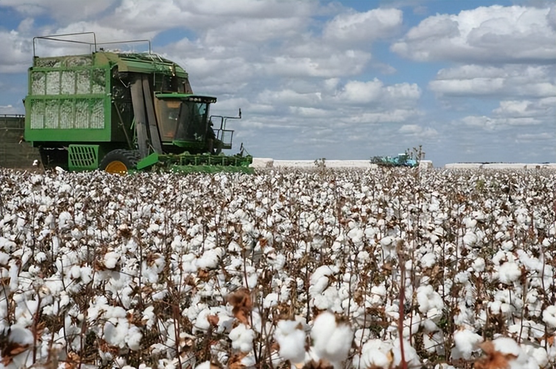 耐克市值现在是多少,耐克市值一夜蒸发800亿什么原因