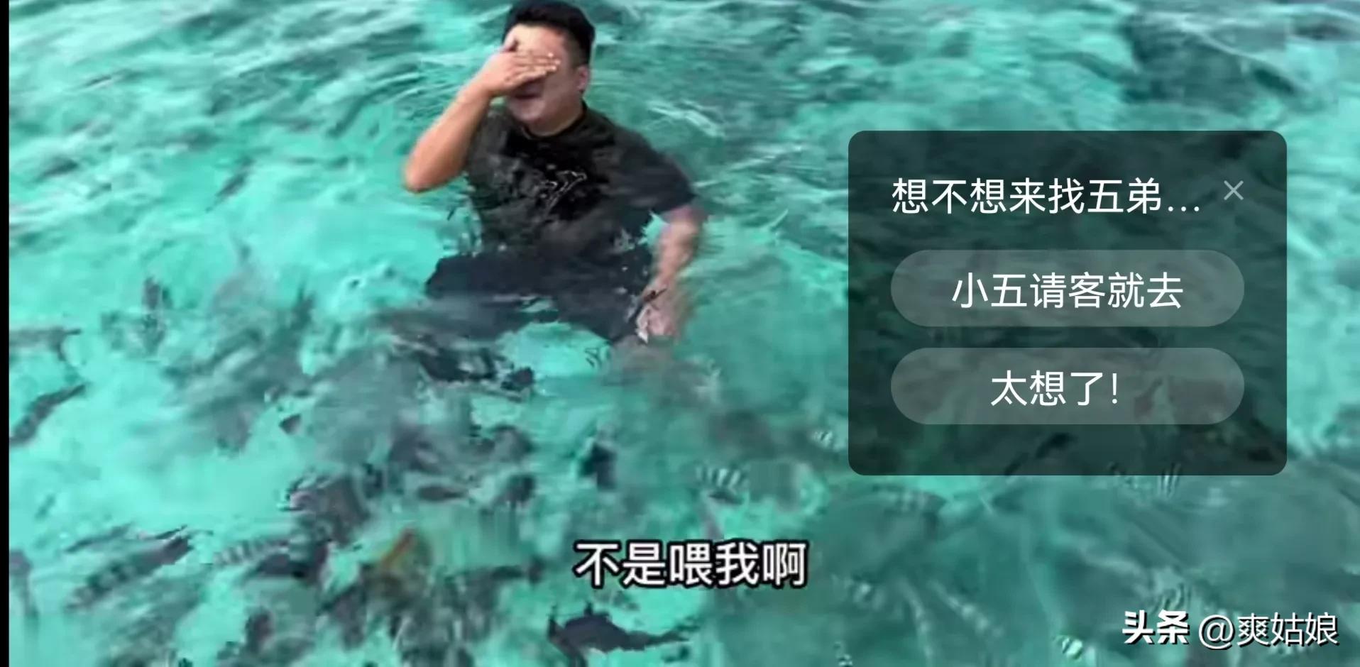 非洲小五带保镖游比尔盖茨买的岛，木头头见泳装美女，直呼太美